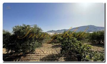Thumbnail von Immogold South-Sicily SGS 26039 Experience Sicily's silent beauty; a dream estate with Mediterranean gardens and a spacious property