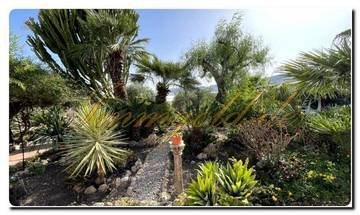 Thumbnail von Immogold South-Sicily SGS 26039 Experience Sicily's silent beauty; a dream estate with Mediterranean gardens and a spacious property
