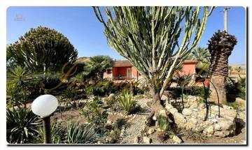 Thumbnail von Immogold South-Sicily SGS 26039 Experience Sicily's silent beauty; a dream estate with Mediterranean gardens and a spacious property