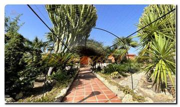 Thumbnail von Immogold South-Sicily SGS 26039 Experience Sicily's silent beauty; a dream estate with Mediterranean gardens and a spacious property
