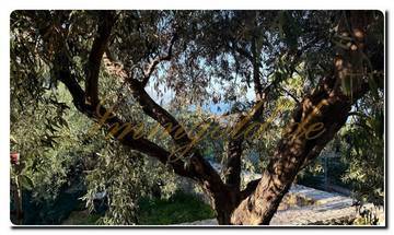 Thumbnail von Immogold spacious, unmistakable villa in an excellent location with great sea view and four bedrooms located on the Ionian coast between Catania and Syracuse