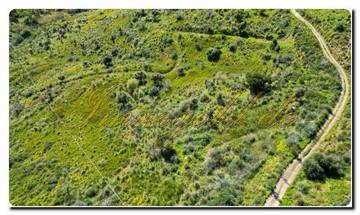 Thumbnail von Immogold North Sicily, a south-facing area of approximately 27,000 m², including a permit for the construction of a luxury campsite near Cefalù, in the Madonie Nature Park.