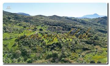 Thumbnail von Immogold North Sicily, a south-facing area of approximately 27,000 m², including a permit for the construction of a luxury campsite near Cefalù, in the Madonie Nature Park.