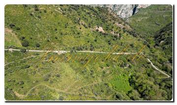Thumbnail von Immogold North Sicily, a south-facing area of approximately 27,000 m², including a permit for the construction of a luxury campsite near Cefalù, in the Madonie Nature Park.