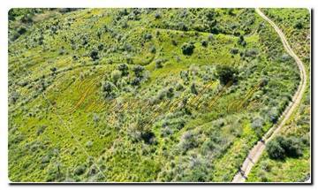 Thumbnail von Immogold North Sicily, a south-facing area of approximately 27,000 m², including a permit for the construction of a luxury campsite near Cefalù, in the Madonie Nature Park.