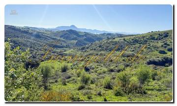 Thumbnail von Immogold North Sicily, a south-facing area of approximately 27,000 m², including a permit for the construction of a luxury campsite near Cefalù, in the Madonie Nature Park.