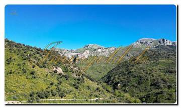 Immogold North Sicily, a south-facing area of approximately 27,000 m², including a permit for the construction of a luxury campsite near Cefalù, in the Madonie Nature Park.