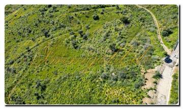 Thumbnail von Immogold North Sicily, a south-facing area of approximately 27,000 m², including a permit for the construction of a luxury campsite near Cefalù, in the Madonie Nature Park.