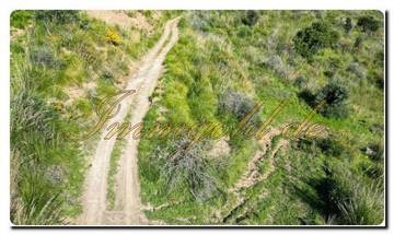 Thumbnail von Immogold North Sicily, a south-facing area of approximately 27,000 m², including a permit for the construction of a luxury campsite near Cefalù, in the Madonie Nature Park.