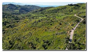 Thumbnail von Immogold North Sicily, a south-facing area of approximately 27,000 m², including a permit for the construction of a luxury campsite near Cefalù, in the Madonie Nature Park.