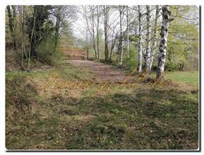 Thumbnail von Your private retreat in beautiful nature, detached villa with park in Viola to renovate