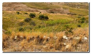 Thumbnail von Large property covering approximately 19,000 m² with a rustic house and sea view.