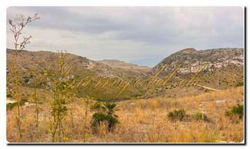 Thumbnail von Large property covering approximately 19,000 m² with a rustic house and sea view.