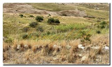 Thumbnail von Large property covering approximately 19,000 m² with a rustic house and sea view.