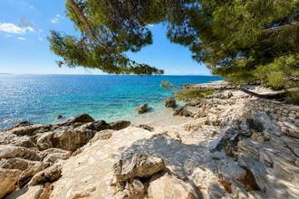 Thumbnail von Apartment with garden and swimming pool, south side of Hvar Island