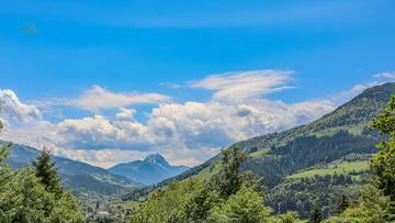 Thumbnail von Weinberg Residence - Top 6 & 7 (6 out of 9 apartments sold!)