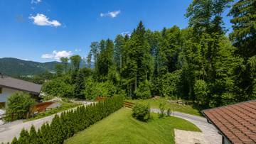 Thumbnail von Alpenperle in idyllic forest-edge tranquil location