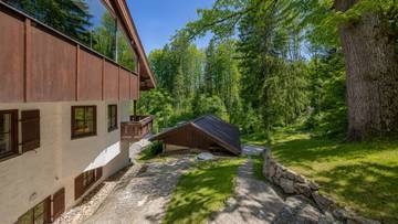 Thumbnail von Alpenperle in idyllic forest-edge tranquil location
