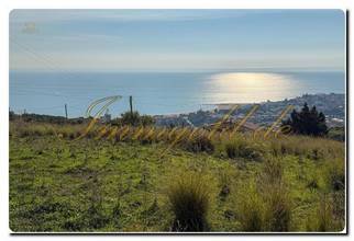 Thumbnail von Immogold South-Sicily Charming Sicilian country villa with an olive grove, six bedrooms, and two residential units in a prime location with a spacious olive grove, near the Valley of the Temples and Scala dei Turchi.