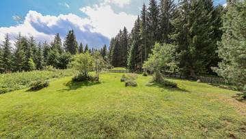 Thumbnail von Secondary residence with an unobstructed Kaiser view - Ski in / Ski out