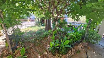 Thumbnail von House with three separate apartments and sea view, 200 meters to the sea