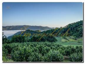 Thumbnail von Charming house in a picturesque stone village with a pool, terrace, wood stove, and panoramic view