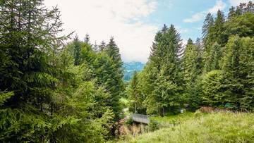 Thumbnail von Alpine retreat with a recreational residence and impressive Kaiser view