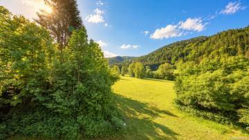 Thumbnail von Historic farmhouse in green peaceful location