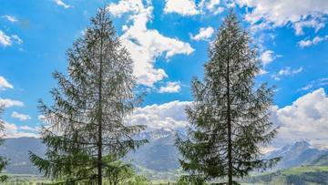 Thumbnail von Golf-in/Golf-out country house in sunny prime location
