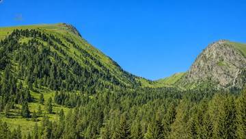 Thumbnail von 9 building-permitted chalets with recreational residence designation