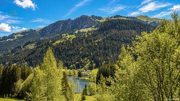 Thumbnail von Unique refuge in prime location with a view of Lake Schwarz