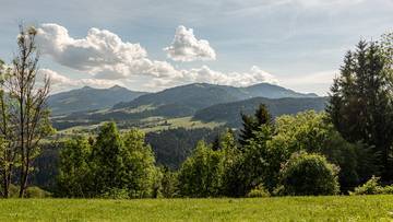 Thumbnail von Plot of land with building permit for 2 luxury chalets