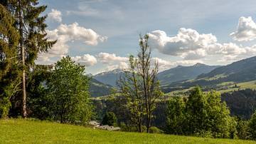 Thumbnail von Plot of land with building permit for 2 luxury chalets