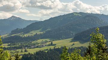 Thumbnail von Plot of land with building permit for 2 luxury chalets