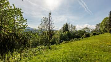 Thumbnail von Plot of land with building permit for 2 luxury chalets