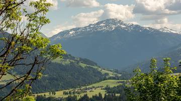 Thumbnail von Plot of land with building permit for 2 luxury chalets