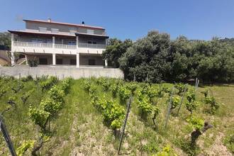 Thumbnail von Large house in first line by the sea with seven apartments and an olive grove
