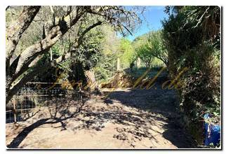 Thumbnail von Unique country house with a large property, fruit trees, and olive trees near Mistretta