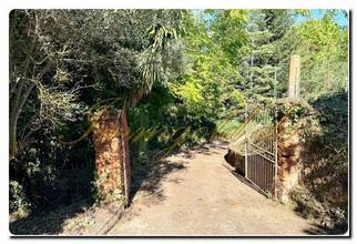 Thumbnail von Unique country house with a large property, fruit trees, and olive trees near Mistretta