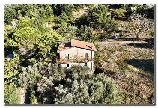 Apartes Landhaus mit großem Grundstück, Obstbäumen und Olivenbäumen bei Mistretta
