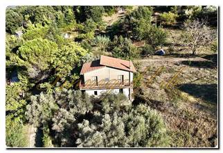 Thumbnail von Unique country house with a large property, fruit trees, and olive trees near Mistretta
