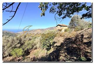 Thumbnail von Unique country house with a large property, fruit trees, and olive trees near Mistretta