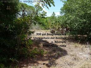 Thumbnail von ***FLORIDA: DIRECTLY FROM ET WSG GERMANY - Beautiful waterfront property***