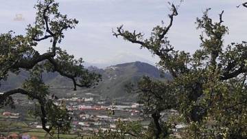 Thumbnail von Agrarland auf Teneriffa