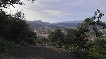 Thumbnail von Agrarland auf Teneriffa