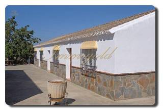 Thumbnail von Immogold Finca, Landhaus mit ca. 60.000 m² Land, nahe Arcos de la Frontera (Junta de los Rios)