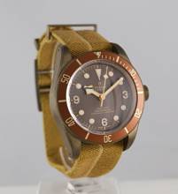  Tudor Taucheruhr