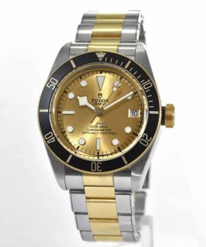  Tudor Black Bay S&G Ref. M79733N-0004 