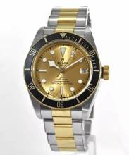  Tudor Black Bay S&G Ref. M79733N-0004 
