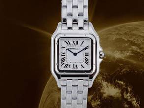 Thumbnail von Cartier Panthère Medium Wspn0015 New 2026